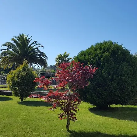 Quinta De Santa Leocadia Kır Evi